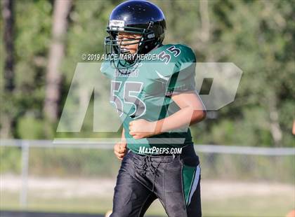 Thumbnail 2 in Springstead @ Weeki Wachee photogallery.