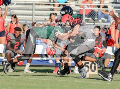 Thumbnail 3 in Springstead @ Weeki Wachee photogallery.