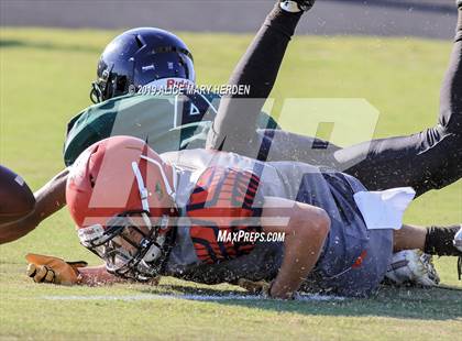 Thumbnail 3 in Springstead @ Weeki Wachee photogallery.