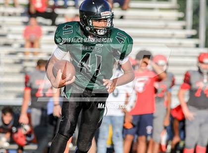 Thumbnail 1 in Springstead @ Weeki Wachee photogallery.