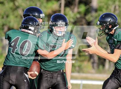 Thumbnail 3 in Springstead @ Weeki Wachee photogallery.