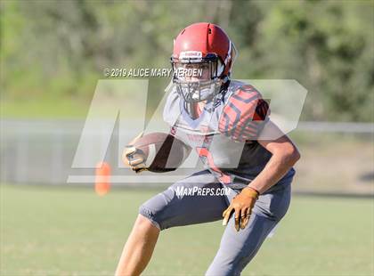 Thumbnail 1 in Springstead @ Weeki Wachee photogallery.