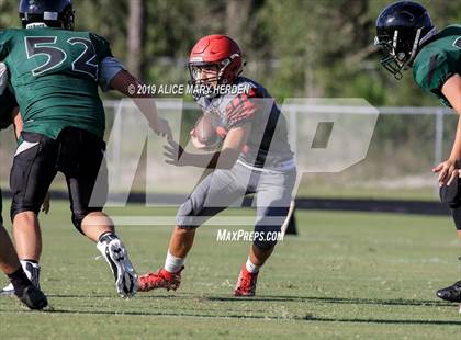 Thumbnail 2 in Springstead @ Weeki Wachee photogallery.