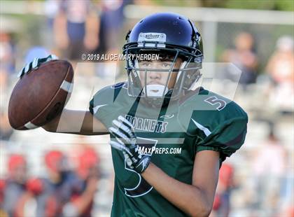 Thumbnail 3 in Springstead @ Weeki Wachee photogallery.