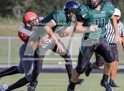 Thumbnail 2 in Springstead @ Weeki Wachee photogallery.