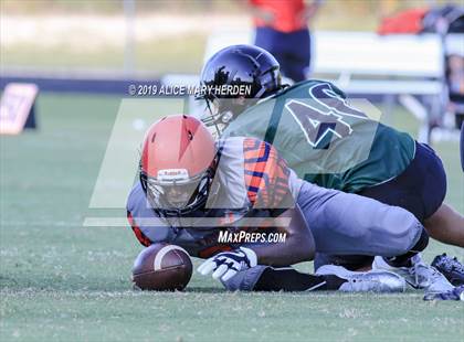 Thumbnail 1 in Springstead @ Weeki Wachee photogallery.