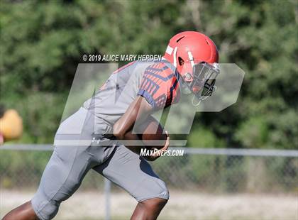 Thumbnail 1 in Springstead @ Weeki Wachee photogallery.