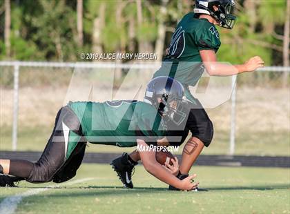 Thumbnail 3 in Springstead @ Weeki Wachee photogallery.