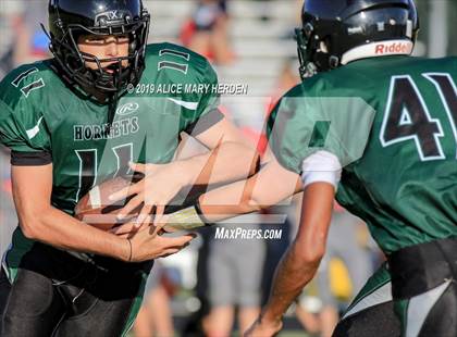 Thumbnail 1 in Springstead @ Weeki Wachee photogallery.