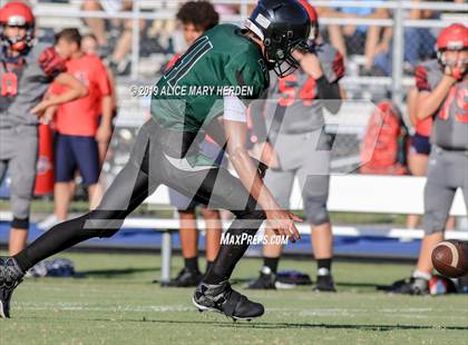 Thumbnail 1 in Springstead @ Weeki Wachee photogallery.
