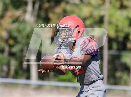 Thumbnail 3 in Springstead @ Weeki Wachee photogallery.