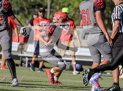 Thumbnail 1 in Springstead @ Weeki Wachee photogallery.