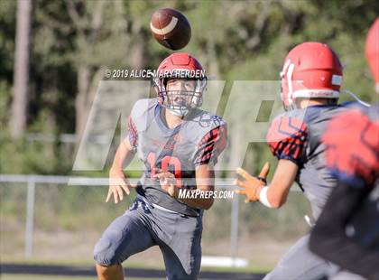 Thumbnail 1 in Springstead @ Weeki Wachee photogallery.