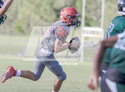 Thumbnail 2 in Springstead @ Weeki Wachee photogallery.
