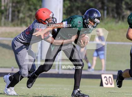 Thumbnail 1 in Springstead @ Weeki Wachee photogallery.