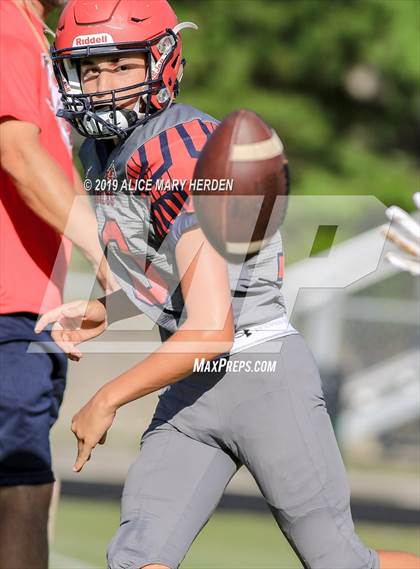 Thumbnail 1 in Springstead @ Weeki Wachee photogallery.