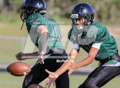 Thumbnail 1 in Springstead @ Weeki Wachee photogallery.