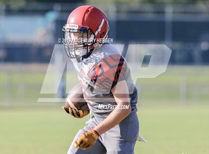 Thumbnail 3 in Springstead @ Weeki Wachee photogallery.