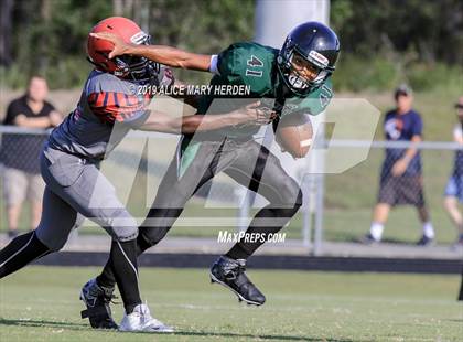 Thumbnail 3 in Springstead @ Weeki Wachee photogallery.