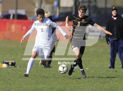 Thumbnail 3 in Pittsford @ Greece Athena photogallery.