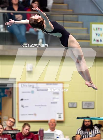 Thumbnail 1 in CHSAA 4A Dive Finals photogallery.