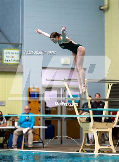 Thumbnail 2 in CHSAA 4A Dive Finals photogallery.