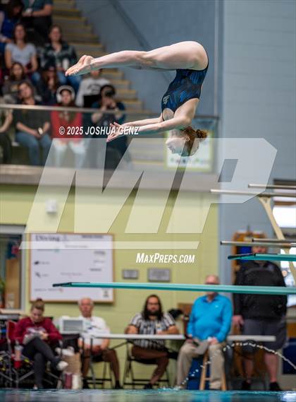 Thumbnail 2 in CHSAA 4A Dive Finals photogallery.