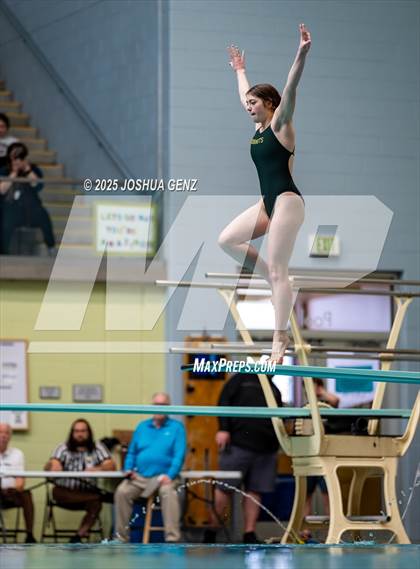 Thumbnail 3 in CHSAA 4A Dive Finals photogallery.