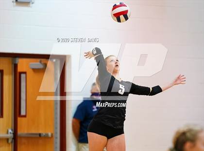 Thumbnail 2 in Basha @ Perry photogallery.