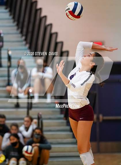 Thumbnail 1 in Basha @ Perry photogallery.