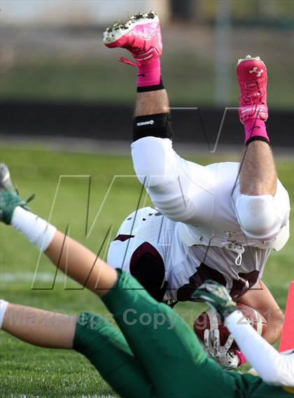 Thumbnail 3 in Dowling @ Hoover  photogallery.