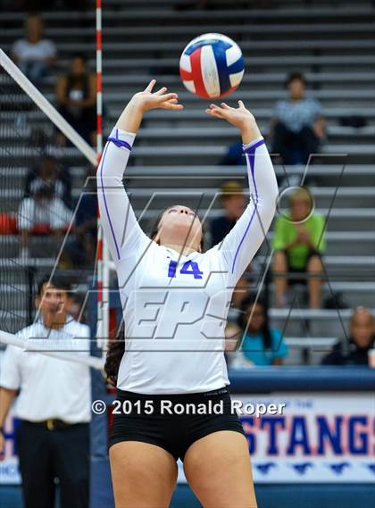 Thumbnail 2 in Richardson vs. Sachse photogallery.