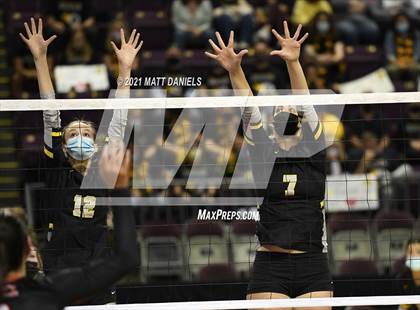 Thumbnail 2 in Prospect Ridge Academy @ Montezuma-Cortez (CHSAA 3A Playoff) photogallery.