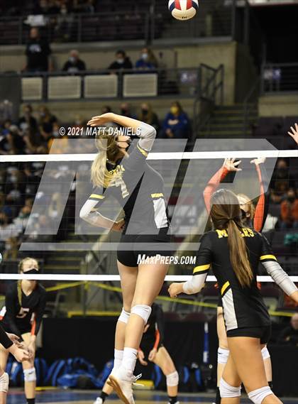 Thumbnail 2 in Prospect Ridge Academy @ Montezuma-Cortez (CHSAA 3A Playoff) photogallery.