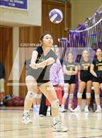 Photo from the gallery "Alameda @ Piedmont"