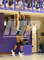 Photo from the gallery "Alameda @ Piedmont"