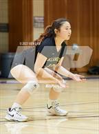Photo from the gallery "Alameda @ Piedmont"
