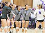 Photo from the gallery "Alameda @ Piedmont"