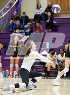 Photo from the gallery "Alameda @ Piedmont"
