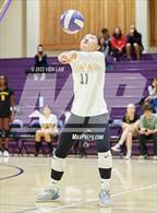 Photo from the gallery "Alameda @ Piedmont"