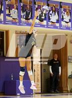 Photo from the gallery "Alameda @ Piedmont"