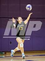 Photo from the gallery "Alameda @ Piedmont"