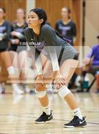 Photo from the gallery "Alameda @ Piedmont"