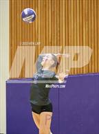 Photo from the gallery "Alameda @ Piedmont"