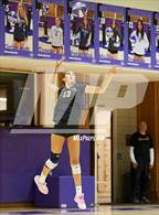 Photo from the gallery "Alameda @ Piedmont"