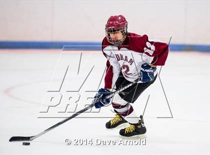 Thumbnail 3 in Brookline @ Dedham photogallery.