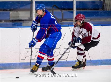Thumbnail 1 in Brookline @ Dedham photogallery.