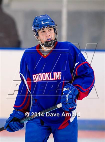 Thumbnail 3 in Brookline @ Dedham photogallery.