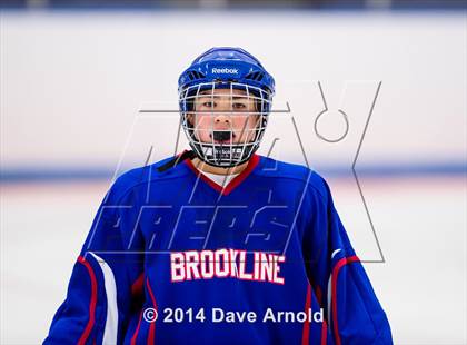 Thumbnail 1 in Brookline @ Dedham photogallery.
