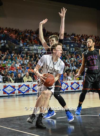 Thumbnail 3 in Charleston vs. Cedar Ridge (AAA 3A Final) photogallery.